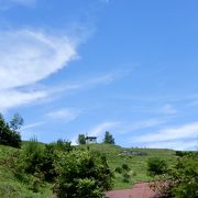 大阪府で唯一の"村"　「千早赤阪村」の棚田　6月の風景