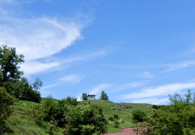 大阪府で唯一の"村"　「千早赤阪村」の棚田　6月の風景