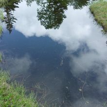 池塘に青空と白い雲が映る
