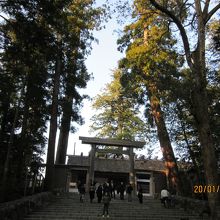 凜とした気が漂う内宮と巨木