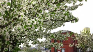 煉瓦造りの小粋な洋館　～　港文館