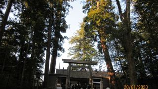 人が多すぎて疲れました。