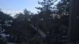 観光客で賑わっています