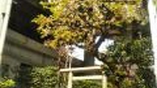 日本の証券取引所の守護神