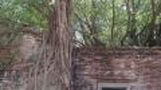 【安平樹屋】ラピュタ的な・・・・