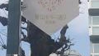 コシノジュンコが命名