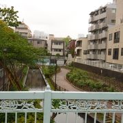 雨の親水公園