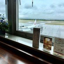 JALもANAも両方とも見られる