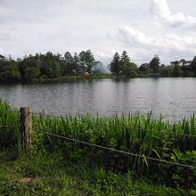 湖の畔でキャンプしてました