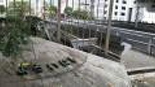 今ひとつ地味です