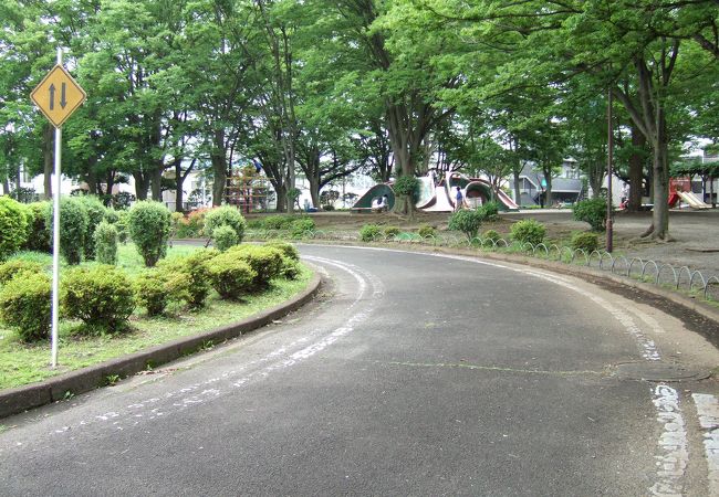 自転車の練習に