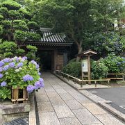 山門前に、報國建忠禅寺という石柱