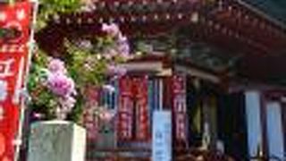 金箔・彩色が鮮やかな赤い建物