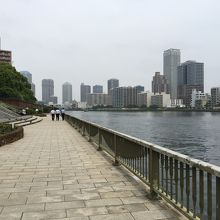 ベンチもあってゆったりした遊歩道