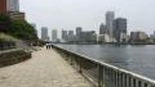 隅田川を見ながらランチ