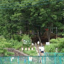 野山北公園 あそびの森 冒険の森