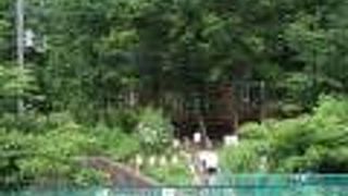 野山北公園 あそびの森 冒険の森