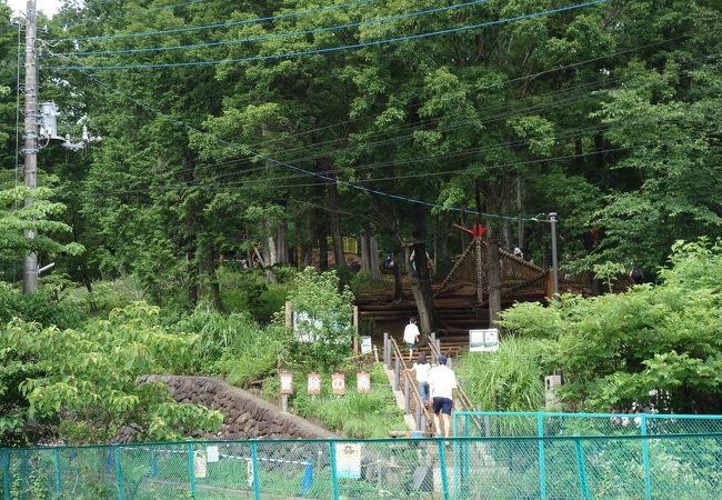 野山北公園 あそびの森 冒険の森