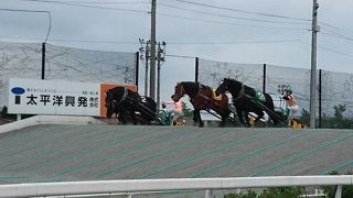 日本唯一のばんえい競馬が観戦できます