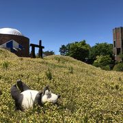 企画展がメインの陶芸館