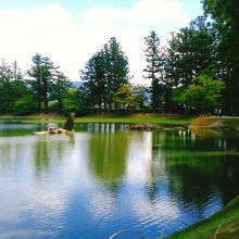 池の西側から東側の様子です