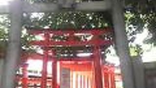 小さな鳥居が並ぶ