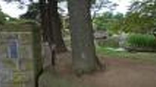 自然もたくさん