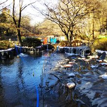 井の頭恩賜公園