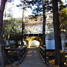 井の頭恩賜公園