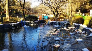 最高の休日の過ごし方