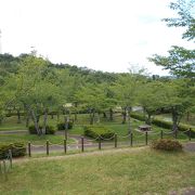 桜だけでない児童公園