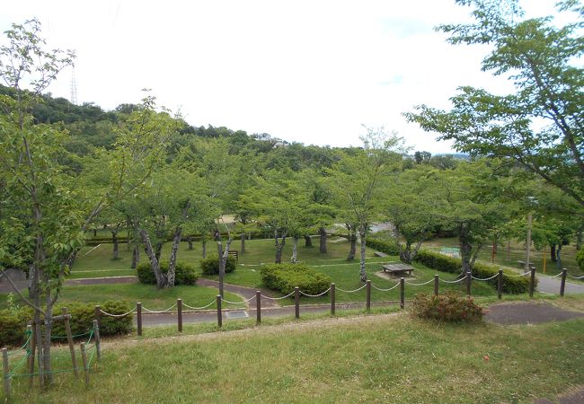 桜だけでない児童公園