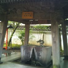 手水場の龍が素晴らしい作りで、口から温泉を吐く！