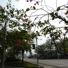 踏切から南を見たところ。