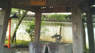 弘法大師の底力を見る思い～