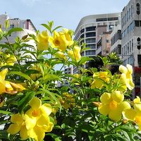 国際通りからのホテルです。