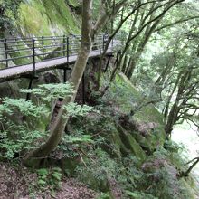 バリアフリー遊歩道