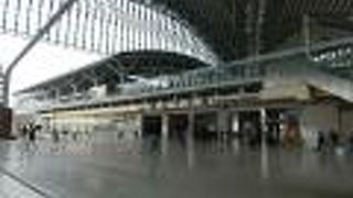 巨大なガラス天井の高架駅。