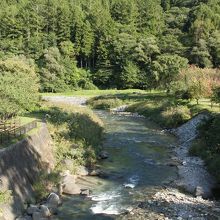 きれいな水に大自然！