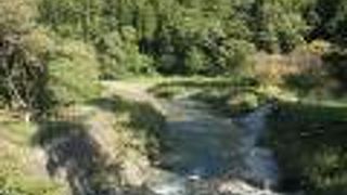 美しい景観の吊り橋