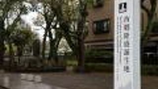 木々に覆われています