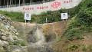 実物をみると少し感動しました