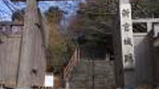 新宮城跡(丹鶴城公園)