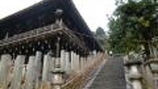 奈良市内を一望。