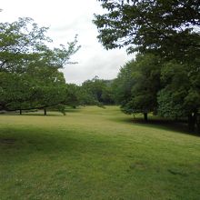 公園南側の西元地区