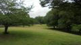 自然豊かな都立公園 （武蔵国分寺公園）