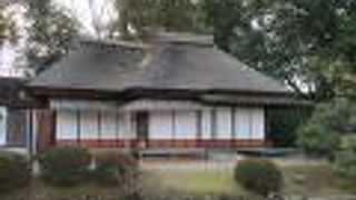 殿様のお気に入り