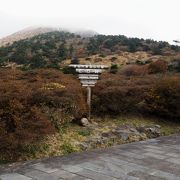 紅葉がオススメの「雲仙 仁田峠」