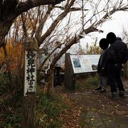 妙見岳展望所に登ってみました。