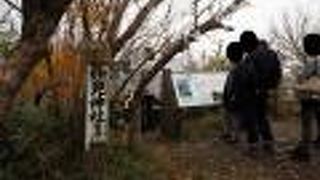 妙見岳展望所に登ってみました。